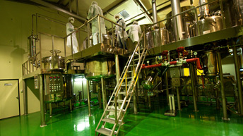 Společnost KGEC má k dispozi dvě továrny na zpracování ženšenu.